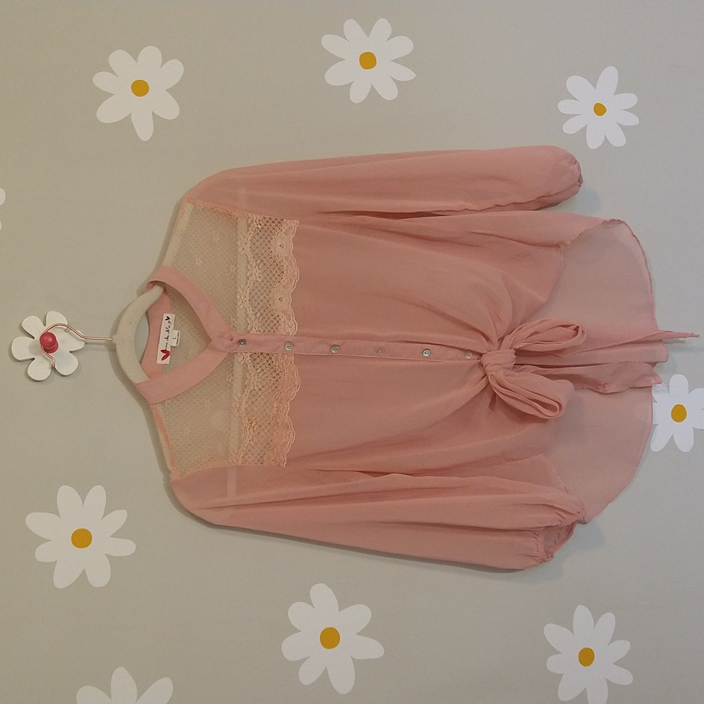 Excuse Me Miss Dainty Elegant Sheer Lacy Pink Button-Down Tie-Front Blouse